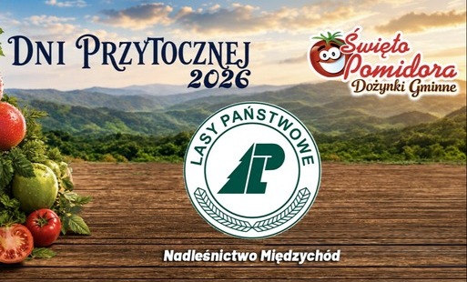 Zdjęcie do Sponsor Dni Przytocznej 2026 - Nadleśnictwo Międzych&oacute;d